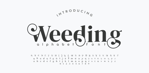 Wedding luxury alphabet letters font. Typography elegant classic lettering serif fonts and number decorative vintage retro concept for logo branding. vector illustration
