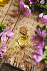 A bottle of common mallow essential oil with blooming mallow plant