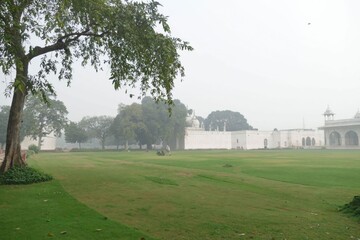 Gardener mowing lawn amid historic Red Fort complex, misty Delhi morning, white walls and trees framing lush green landscape