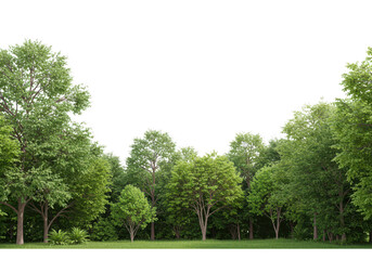 Lush green forest canopy with a clear sky above isolated on transparent background
