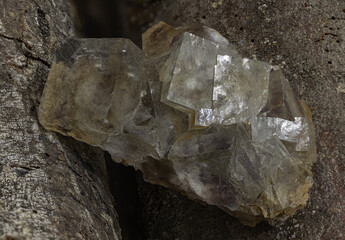 fluorite specimen featuring translucent grey tones and natural fractures, resting on cracked wood bark. A striking close-up image for mineral catalogs, editorial design