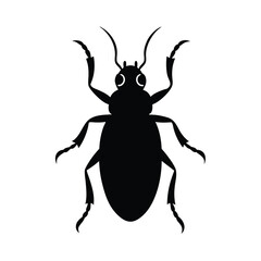 insect, bug, beetle, butterfly, moth, fly, silhouette, antenna, wings, tiny, crawl, creepy, crawlies,