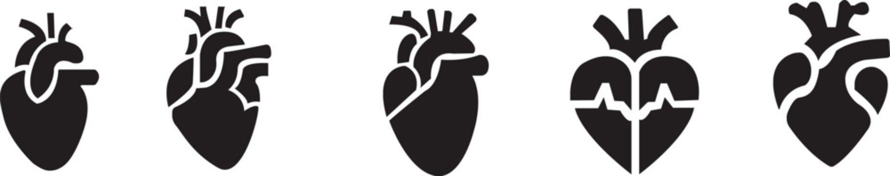 Anatomical Heart Icon set,Human Heart,Cardiac Muscle Line and Silhouette Color Icon Set. Medical Cardiology Pictogram.Collection on White Background.Real human heart organ icon.