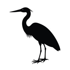 heron, bird, wading, beak, feathers, water, lake, river, tall, longlegs, marsh, wildlife, nature, elegant,