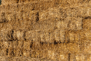 Stacked straw bales in a rural setting during the sunny afternoon hours of late summer