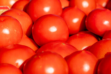 Fresh red tomatoes piled high at the farmer's market in summer sunlight