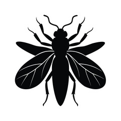 insect, bug, arthropod, smallcreature, pollinator, winged, crawling, tiny, nature, creepy, flying