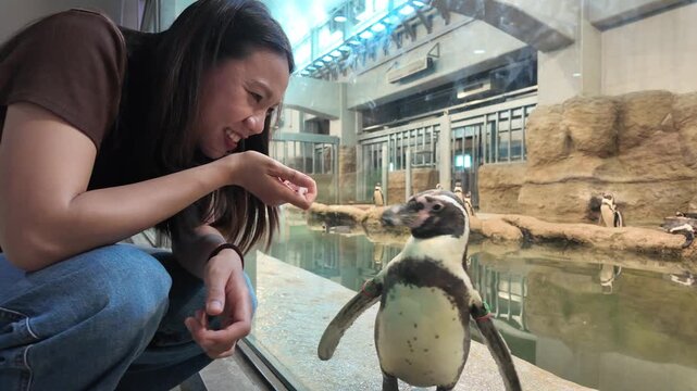A joyful moment is captured as a visitor interacts with a penguin in its habitat at the zoo, showcasing the bond between humans and animals.