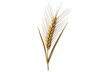 A detailed close-up image of a golden wheat ear against a stark black backdrop.