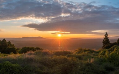 Naklejka premium Golden sunrise over rolling hills with dramatic clouds and silhouetted trees