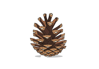 Detailed illustration of a pine cone, showcasing intricate detailing of its scales, against a stark black background.