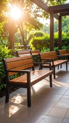 Obraz premium Outdoor park benches bathed in sunlight