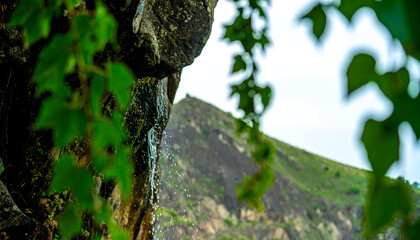 Obraz premium Mountain peak framed by green foliage hanging from dark rocky ledge