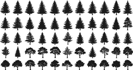 Tree silhouettes set, coniferous and deciduous trees, pine, fir, oak, maple, forest elements, black vector illustration, nature design collection