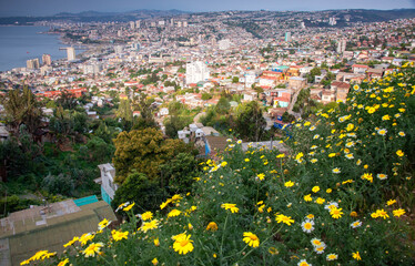 The iconic colorful and eclectic houses built on the steep hills of the historic port city of Valparaiso, Chile, a UNESCO World Heritage Site