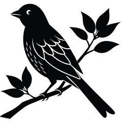 bird on branch silhouette vector art design