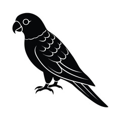 lorikeet, parrot, bird, tropical, colorful, exotic, winged, beak, pet, rainforest, avian, feeder, tropical-bird