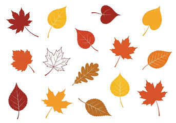 Vibrant autumn leaves in various shapes and colors against a striking black background.