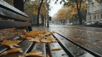 On a rainy autumn day, yellow leaves cover a wet wooden bench in the park