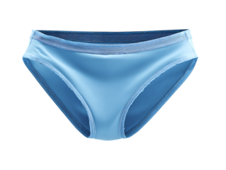 Briefs
