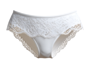 Briefs