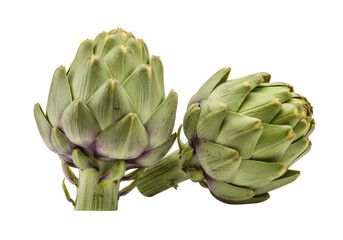 Fototapeta premium Isolated Two Fresh Green Artichokes, Healthy Vegetable Produce