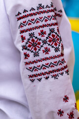 Detail of Ukrainian Traditional Costume Embroidered Blouse Sleeve