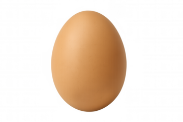 Studio shot of a single brown chicken egg standing upright on a transparent background, ideal for food-related projects
