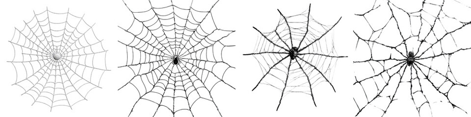 Halloween Spider Web Collection Isolated on Transparent Background