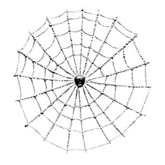 Obraz premium Scary Spider Web with Skull Head Isolated on Black