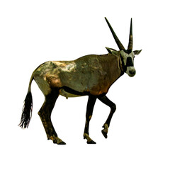 Arabian Oryx Standing Majestic isolated on a transparent background