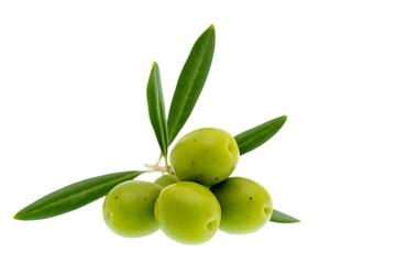Obraz premium Fresh green olives on a branch with leaves isolated on a contrasting background for healthy food and cuisine concepts transparent background