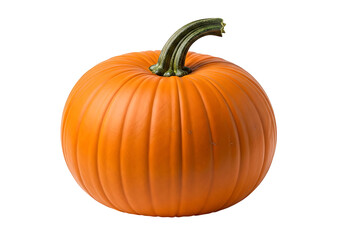 Obraz premium A vibrant orange pumpkin, smooth and firm, is highlighted against a black background.