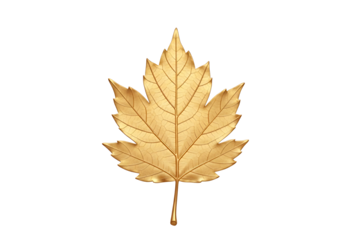 A detailed, golden maple leaf design stands out against a black backdrop.