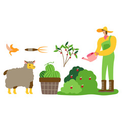 Rural Farm Scene with Sheep, Fruit, and a Gardener Character Set