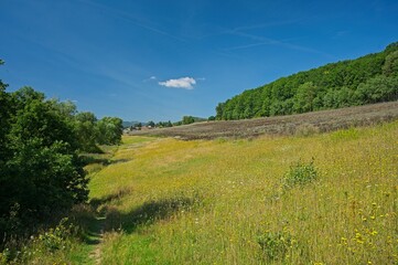landscape in the thuringian forest near Heyda