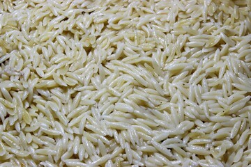 A close-up shot of cooked Greek orzo pasta.