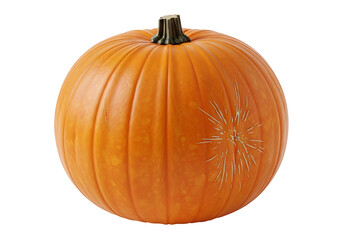 A single, whole pumpkin displays a textured, orange peel, with a unique, radial pattern of light-colored scratches or marks.