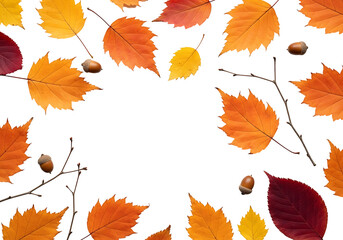 Vibrant autumn leaves and acorns arranged in a circular frame against a dark background.