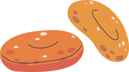 Dried apricots fruits vector illustration