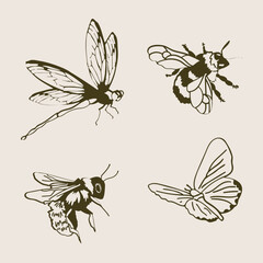 set of insects
