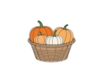 A basket filled with various pumpkins in shades of orange and white, sits against a stark black background.