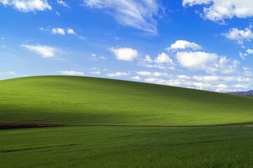 Obraz premium Sunny green hill, blue sky, clouds, distant mountains, nature scene