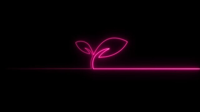 Glowing neon leaf icon animation. Leaves sign. Fresh natural product symbol.abstract animation on tree leaves icon symbol Abstract bright leaf icon animation, 4k video