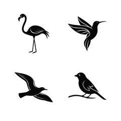 bird silhouette, flying bird silhouette, perched bird silhouette, small bird silhouette, tropical bird silhouette,