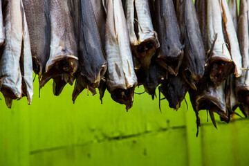 Fish drying © Walt