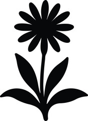 Illustrator Vector Simple daisy flower with leaves botanical illustration silhouette