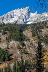 Grand Teton Mountain, partially covered in snow, rises prominently against a clear blue sky in Grand Teton National Park, Wyoming. The foreground is a foothill with a mix of evergreen trees on a slope
