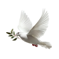 Fototapeta premium White Peace Dove Holding Olive Branch in Flight, Minimalist Symbol, Isolated PNG Transparent Background