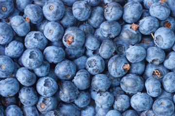 natural plant texture from a bunch of ripe blue fresh blueberries